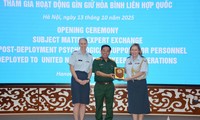 Vietnam, New Zealand exchange experience in psychological support for peacekeepers 