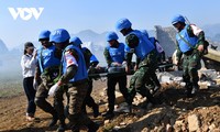 Vietnamese, Indian armies conduct integrated field exercise on peacekeeping