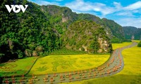 Vietnam's heritage honored at World Travel Awards 2025 