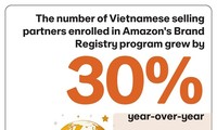 Vietnam’s e-commerce booms in 2025 
