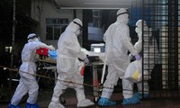 India dismisses claims of wider outbreak of Nipah virus
