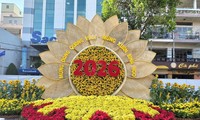 Can Tho unveils Spring Flower Street for Tet 2026
