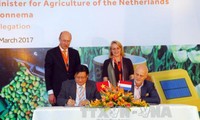 Le Vietnam et les Pays-Bas coopèrent dans l’agriculture et l’adaptation au changement climatique