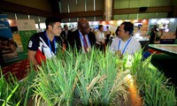 APEC 2017: Vernissage d’une exposition sur l’agriculture