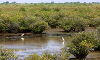 Renforcer la gestion de la réserve biosphérique du delta du fleuve Rouge