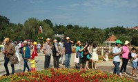 Festival floral de Dalat 2017: Plus de 60.000 visiteurs