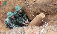 Atelier de formation sur le déminage au Vietnam