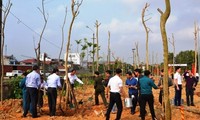 La fête des plantations printanières de l’Année du Cochon de terre