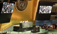 Le Vietnam oeuvrera pour redynamiser le Conseil de sécurité de l’ONU