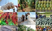 Exportations de textile-habillement et de fruits-légumes en forte croissance