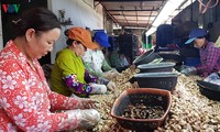 Phuoc Cat est désormais dans le sens de la marche