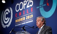 Climat : À peine terminée, la Cop 25 déçoit