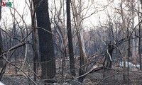 Feux en Australie: 24 personnes arrêtées pour incendie volontaire