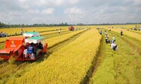 AN : L’exemption d’impôt pour les exploitants agricoles en débat