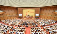 Assemblée nationale : 2e phase de la 9e session en séance plénière