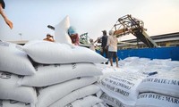 Le Vietnam va exporter 30.000 tonnes de riz aux Philippines