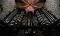 Notre-Dame de Paris: le chantier du plus grand orgue de France a démarré