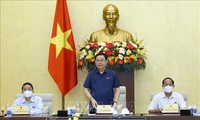 Vuong Dinh Huê demande d’exécuter de manière flexible le programme de supervision