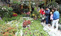 Le marché Hàng