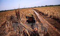 Renforcement de la coopération internationale face au dérèglement climatique dans le delta du Mékong