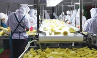 Le Vietnam, grand fournisseur de produits agricoles et agro-alimentaires de plusieurs pays