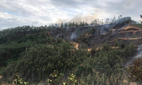 Protéger la forêt du feu