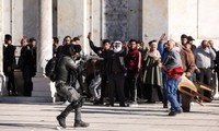 Jérusalem: plus de 100 blessés lors de heurts sur l'Esplanade des Mosquées