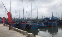 En 2050, le Vietnam devrait disposer de 184 ports de pêche