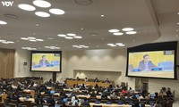 Le Vietnam à la Commission des affaires sociales, humanitaires et culturelles de l'Assemblée générale des Nations Unies