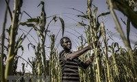 Journée mondiale de l’alimentation : Antonio Guterres appelle à la mobilisation pour passer du désespoir à l’espoir et à l’action