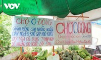 “Chợ 0 đồng” giúp người Cần Thơ khó khăn trong đại dịch Covid-19