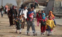 42,000 displaced in Mosul