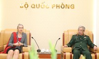 Vietnam, Netherlands enhance peacekeeping cooperation