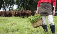 Having a farm in the US