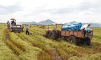 新農村をめざして、フォクハウ村の場合