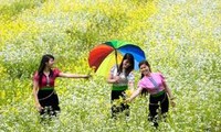 年末の北西部のモクチャオ高原の観光ツアー