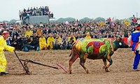 ドイソン村の田んぼ祭り