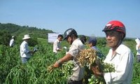 中部フーイエン省の新農村作り