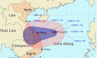 中部各省、台風8号に対応