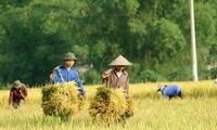 食糧安全保障と農業生産高の向上に向けて