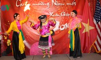 各国在留ベトナム大使館、テトを祝う集い