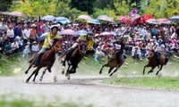 バクハ県の競馬