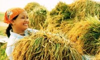 ベトナム、持続的な農業作りに取り組む