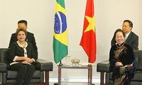 ゾアン国家副主席、ブラジル大統領と会見