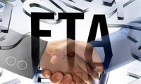 FTA 加盟と市場再構築