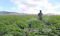 「農業分野における日本・ベトナム企業の連携」シンポジウム