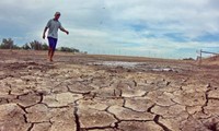 「気候変動への対応・立法者の行動」