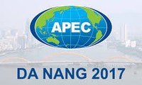 APEC年2017の成功・国に新しい原動力を作り出す