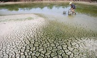 ベトナム、気候変動対応に努力