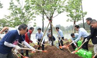 ホアビン平和公園で1000本の桜を植える